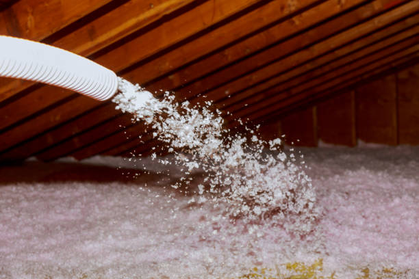 Best Insulation Installation Services in Olney, TX